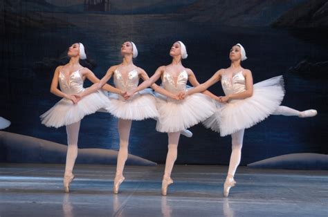 Ballet Dreams Reader