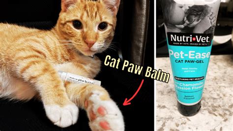 Balm for Cat Paws: A Comprehensive Guide to Keeping Your Feline's Feet Healthy and Happy