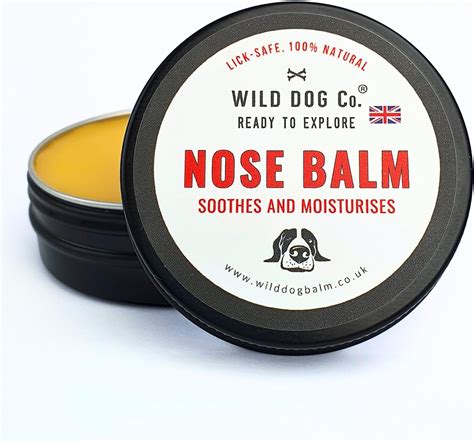 Balm for Dog Nose: Keep Your Pup's Sniffer Moisturized and Protected