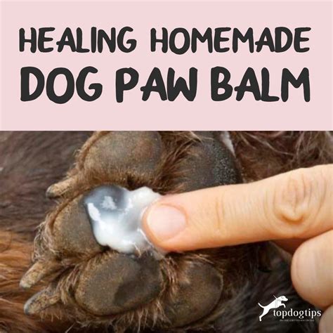 Balm for Dogs' Feet: The Ultimate Guide to Keeping Your Pup's Paws Healthy