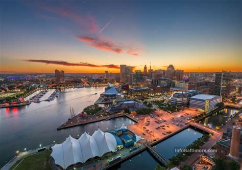 Baltimore's Buzzing History