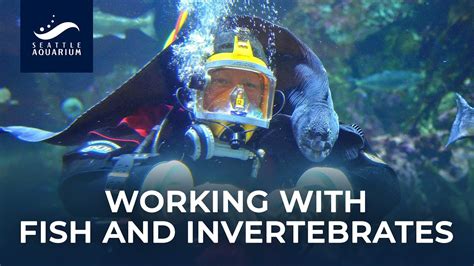 Baltimore Aquarium Jobs: Embark on a Rewarding Career in Marine Conservation