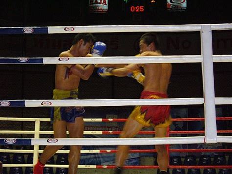 Bambam Horário: Dominando a Arte do Boxe Tailandês