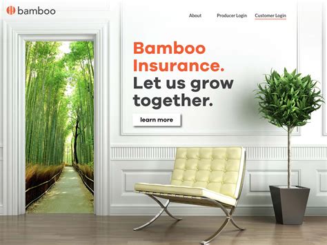 Bamboo Insurance California: 11 Facts You Need to Know