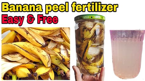 Banana Fertilizer: 5 No-Waste Ways to Feed Your Plants