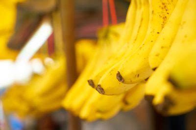 Bananeira: O Guia Completo para Produtores e Consumidores