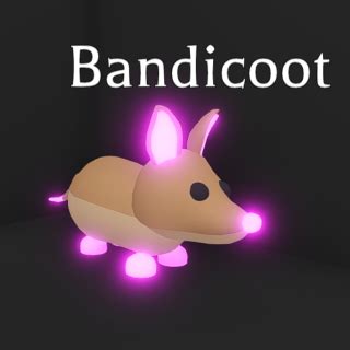 Bandicoot Adopt Me: The Ultimate Guide to Acquiring and Caring for These Charming Creatures