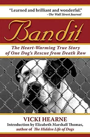 Bandit The Heart-Warming True Story of One Dog s Rescue from Death Row Epub