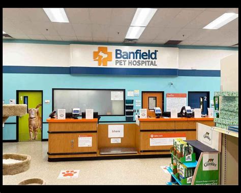 Banfield Hospital Near Me: Find Affordable Veterinary Care in Your Area