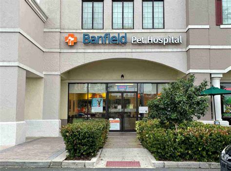 Banfield Hospitals Near Me: Quick Guide to Finding the Right One