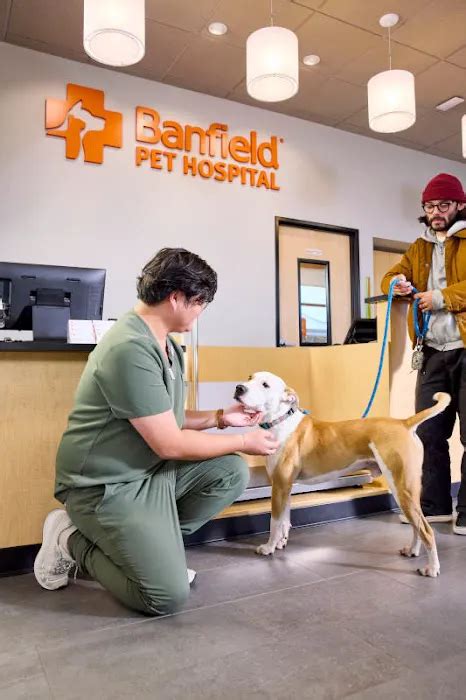 Banfield Pet Hospital Close to Me: A Comprehensive Guide