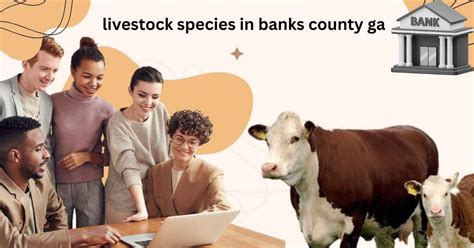 Banks County, GA: A Leader in Livestock Production