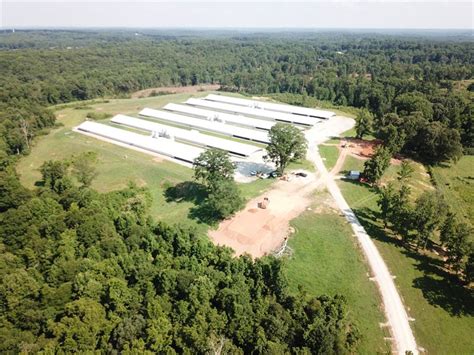 Banks County GA: A Hub for Top-Tier Livestock Production