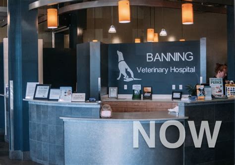 Banning Vet Banning in CA: A Comprehensive Look