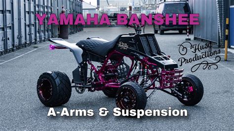 Banshee A Arms: Unlocking Unparalleled Precision and Performance