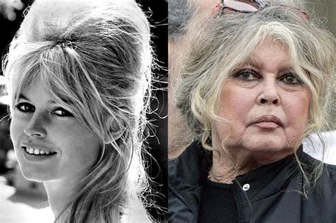 Bardot's Early Life and Career