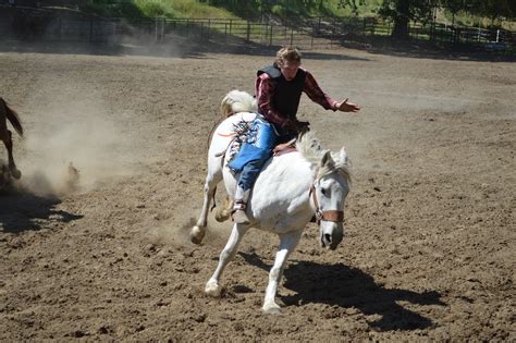 Bare Back Studios: A Comprehensive Guide to Bareback Riding and Related Activities