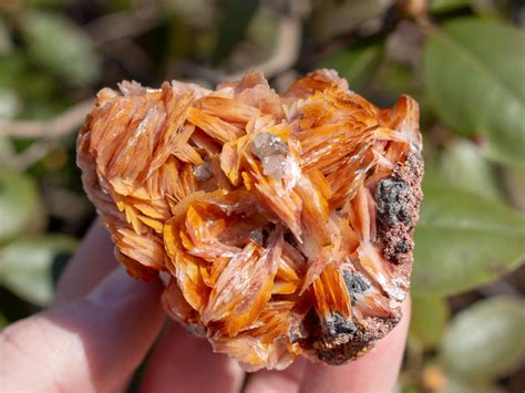 Barite Vanadinite: A Unique and Versatile Mineral for Diverse Applications