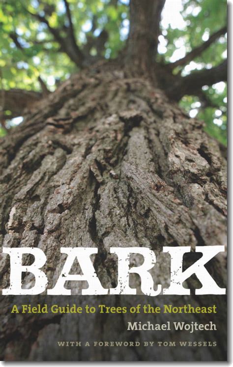 Bark A Field Guide to Trees of the Northeast Doc