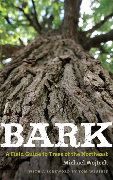 Bark Field Guide Trees Northeast Reader