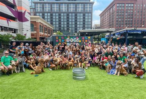 Bark Social News and Updates: 2025's Top Tech for Canine Connectivity