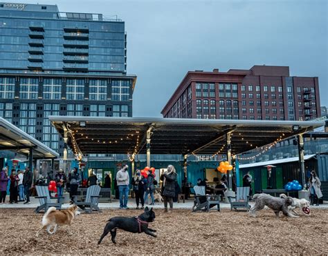 Bark Social pet-friendly design and materials