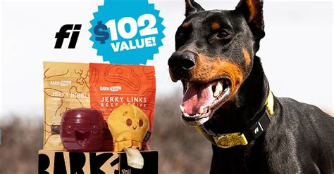 BarkBox Fi Collar: 6 Ultimate Perks & How to Harness Them