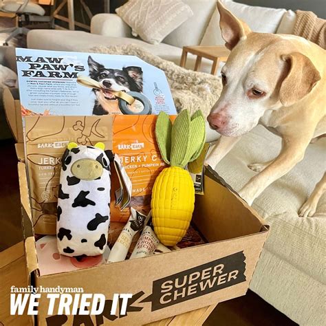 BarkBox Super Chewer