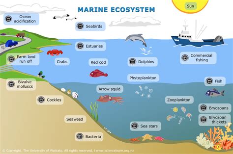 Barnacle Bay: A Detailed Exploration of a Unique Aquatic Ecosystem