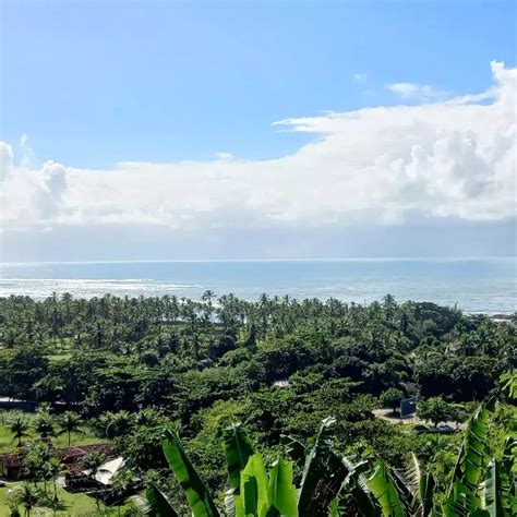 Barra na Bahia: Um Guia Completo para o Paraíso Tropical