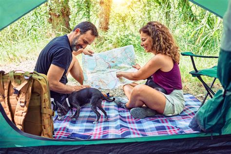 Barraca de acampamento: Guia completo para escolher, montar e cuidar do seu abrigo portátil