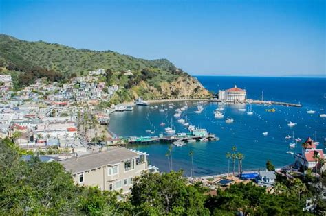 Bars in Catalina: A Nightlife Guide to the Island's Best Watering Holes