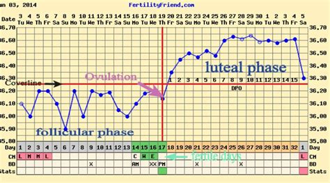 Basal Temperature Ovulation Chart