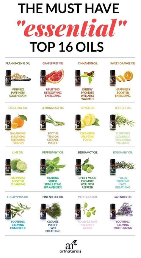 Base Oils for Essential Oils: The Ultimate Guide (6 Essential Base Oils)