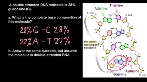 Base composition: