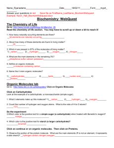 Basic Biochemistry Webquest Answers Doc