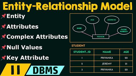 Basic Concepts of Entity ä¸­æ–‡
