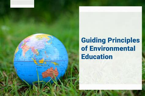 Basic Environmental Education PDF