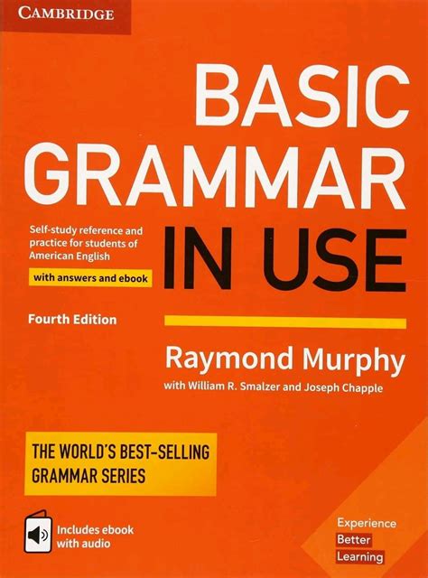 Basic Grammar in Use PDF