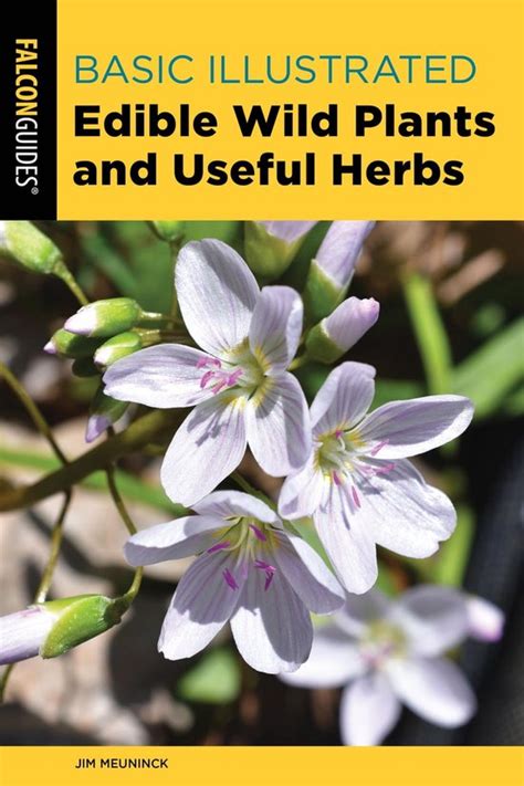 Basic Illustrated Edible Wild Plants and Useful Herbs Reader