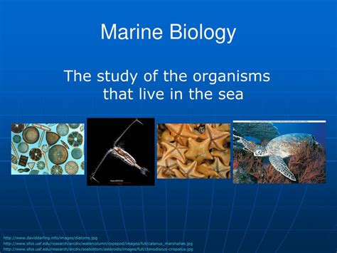 Basic Marine Biology Epub