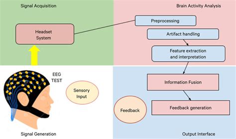 Basic Mechanisms of the EEG Doc