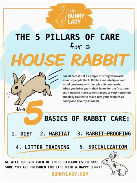 Basic Rabbit Care Guide Epub