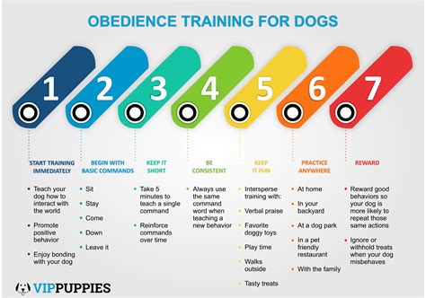 Basic obedience training: