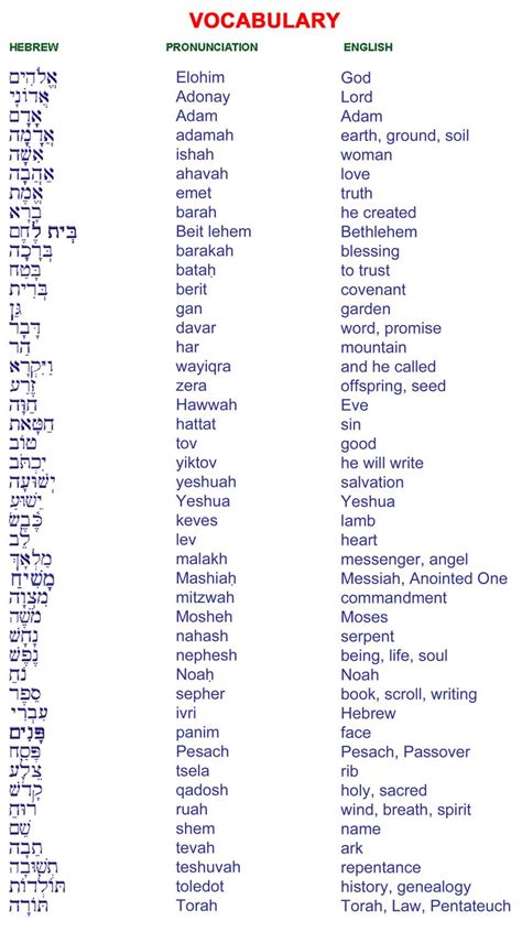 Basics of Biblical Hebrew Vocabulary Epub