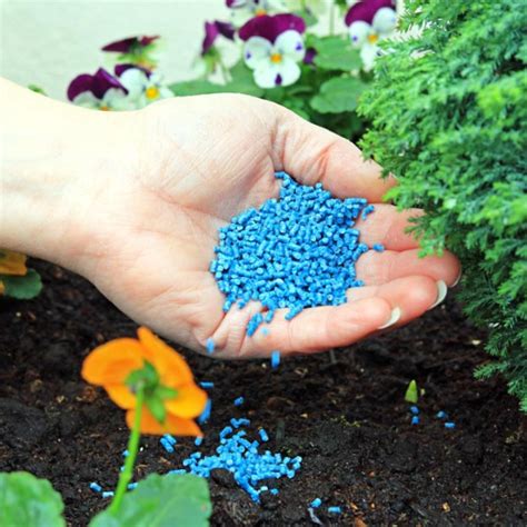 Basin Fertilizer: The Ultimate Guide to Boosting Your Plant's Performance