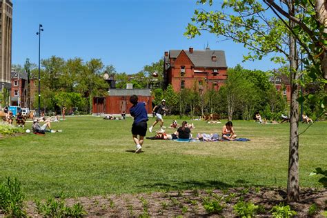 Bask in the Sun-Kissed Glory: A Comprehensive Guide to Sunny Days