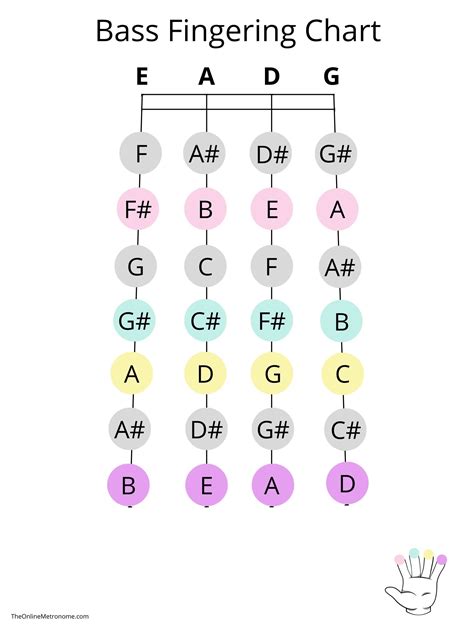 Bass Fingering Chart