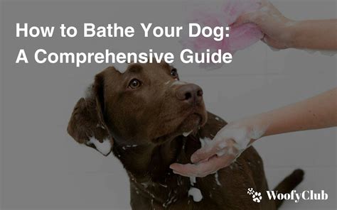 Bathing a Dog with Dawn: A Comprehensive Guide