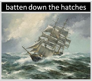 Batten Down the Hatches: A Gusty Expedition Into the World of Wind